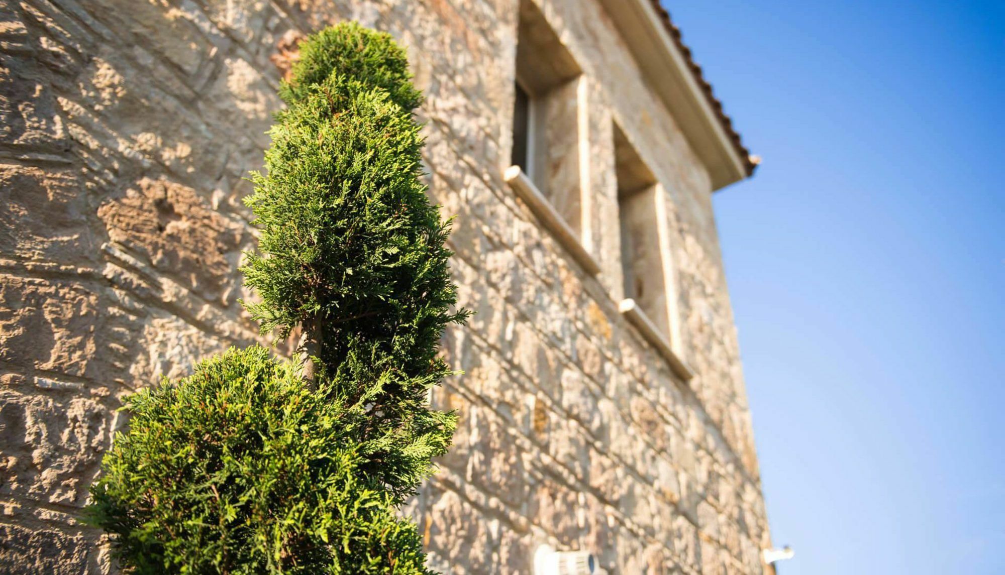 Villa Jaimi Peyia Extérieur photo